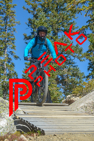 198ND600_11;09_09.24.23_6838