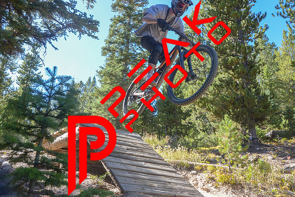 NQ_15;17_09.22.23_0868