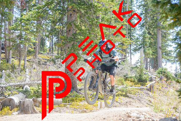 SA_09.08.22_11;45-2