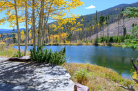 Boyd_5878
