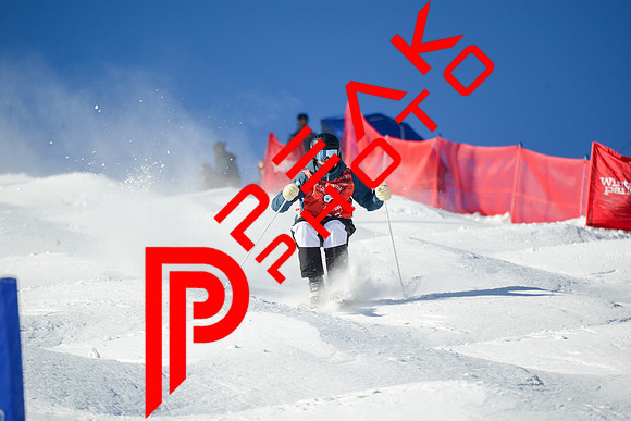 WP_12.16.23_8544