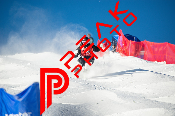 WP_12.16.23_8265