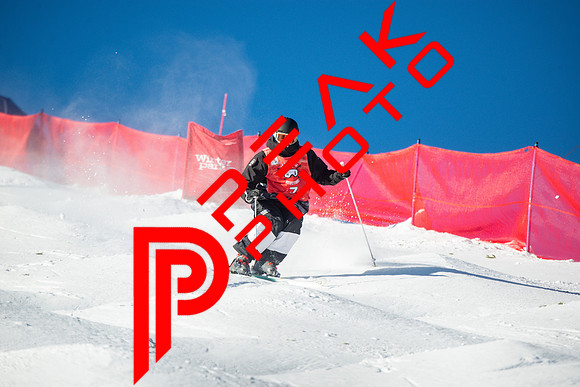 WP_12.16.23_8467