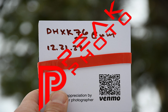 WP_12.21.23_9070
