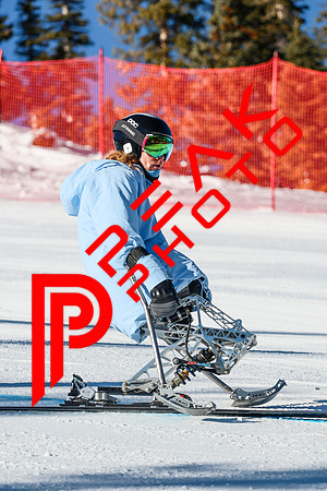 WP Open Adaptive_6104