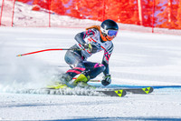 WP Open Adaptive_6343