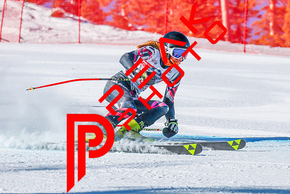 WP Open Adaptive_6343