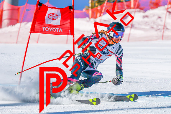 WP Open Adaptive_6339