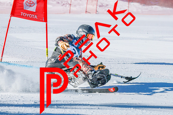 WP Open Adaptive_0063
