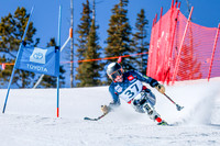WP Open Adaptive_0222