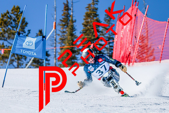 WP Open Adaptive_0222