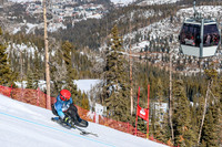 WP Open Adaptive_0201