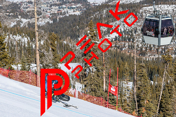 WP Open Adaptive_0201