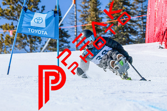 WP Open Adaptive_0325