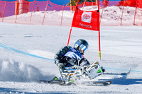 WP Open Adaptive_0382