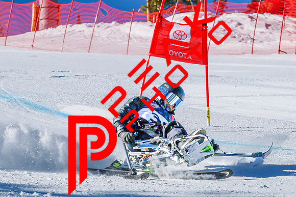 WP Open Adaptive_0382