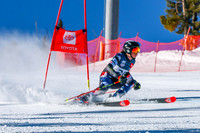 WP Open Adaptive_8527