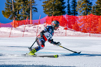 WP Open Adaptive_8634