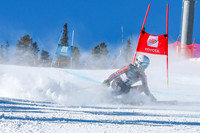 WP Open Adaptive_8242