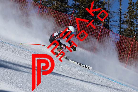 WP Open Adaptive_8264