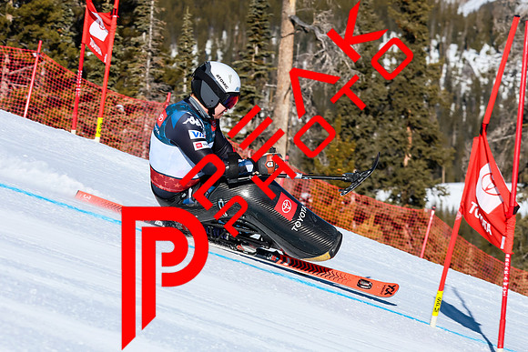 WP Open Adaptive_9448