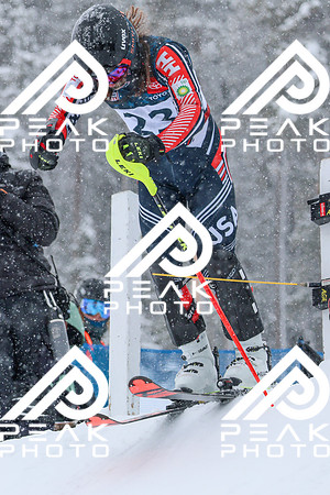 WP Open_2601
