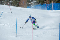 Age Class Alpine Slalom Run 1-6991