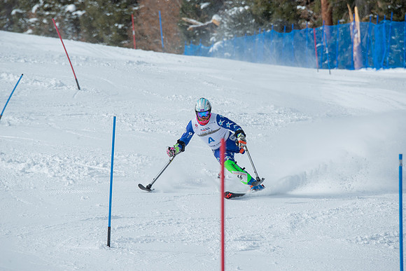 Age Class Alpine Slalom Run 1-6991
