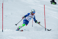 Age Class Alpine Slalom Run 1-6994