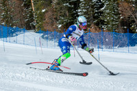 Age Class Alpine Slalom Run 1-6996