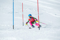 Age Class Alpine Slalom Run 1-7004