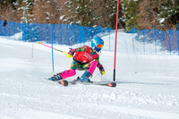 Age Class Alpine Slalom Run 1-7008