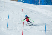 Age Class Alpine Slalom Run 1-7010