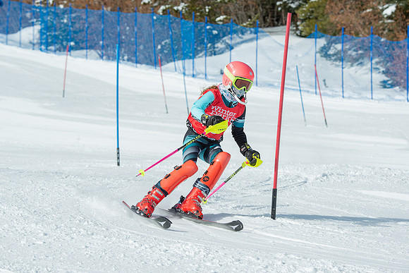 Age Class Alpine Slalom Run 1-7019