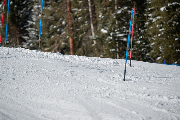 Age Class Alpine Slalom Run 1-7029