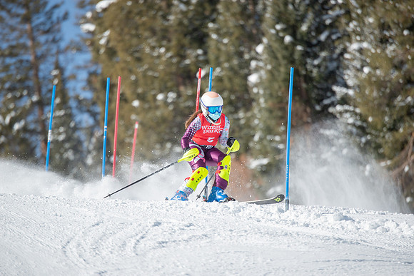 Age Class Alpine Slalom Run 1-7031