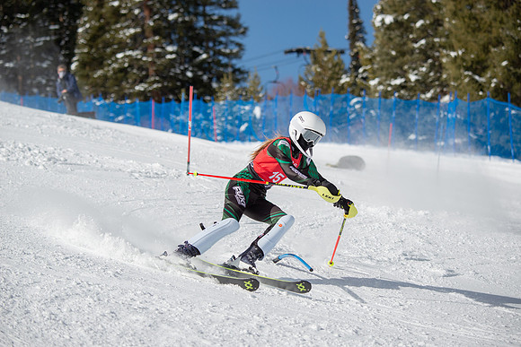 Age Class Alpine Slalom Run 1-7101