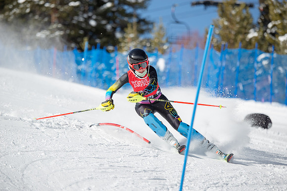 Age Class Alpine Slalom Run 1-7110