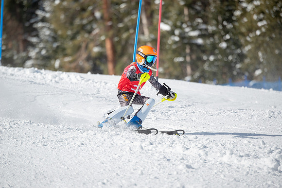 Age Class Alpine Slalom Run 1-7161