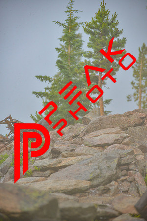 DJ_14;48_07.19.23_4884