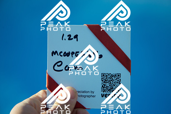 WP_01.29.22_2406