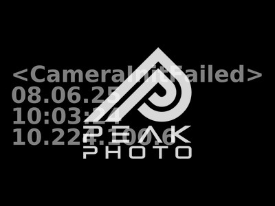 testphotofailed