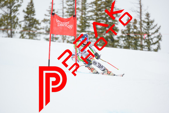 WP_6030