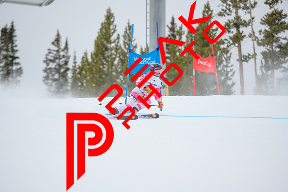 WP_5935