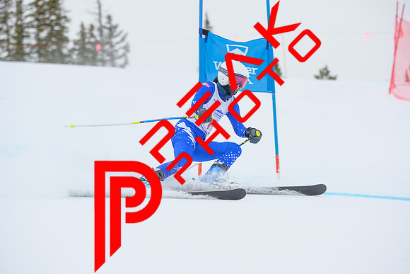 WP_5909