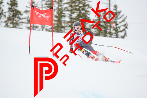 WP_6012
