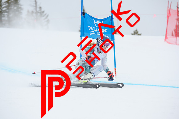 WP_5955