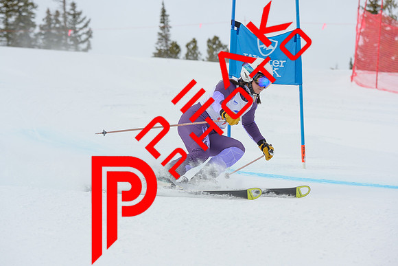 WP_6090
