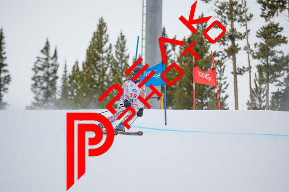 WP_5988