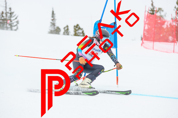 WP_6048